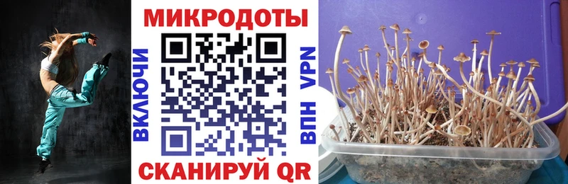купить закладку  Балабаново  Галлюциногенные грибы MAGIC MUSHROOMS 