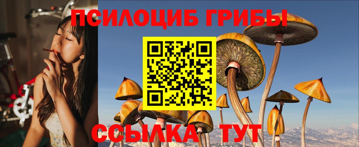 Псилоцибиновые грибы Psilocybe  Вход с VPN  Балабаново 
